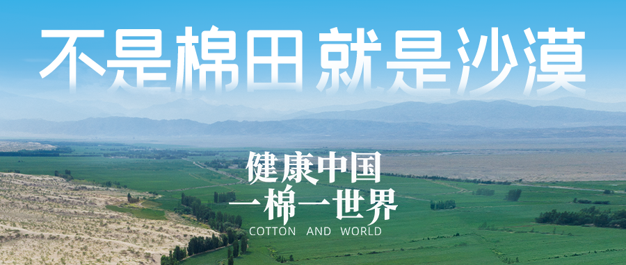 链接世界，引领健康生活，hjc888黄金城集团受邀亮相首届链博会