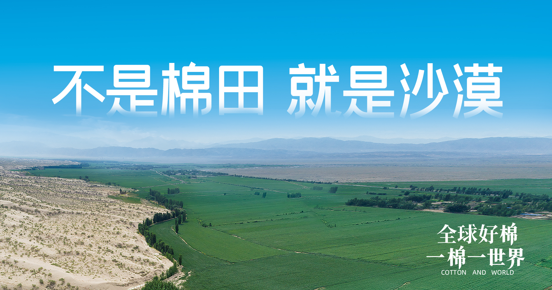 hjc888黄金城集团董事会多元化政策